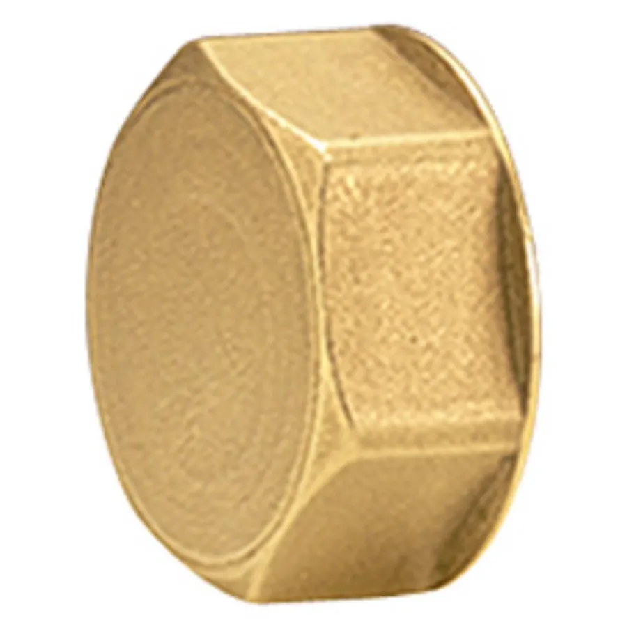Пробка для коллектора Giacomini 1", R594Y004