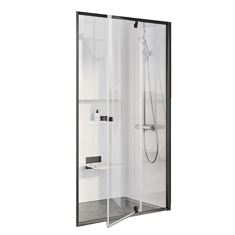 Душевая дверь Ravak Pivot PDOP2-100 распашная, стекло Transparent, профиль Черный (03GA0300Z1)
